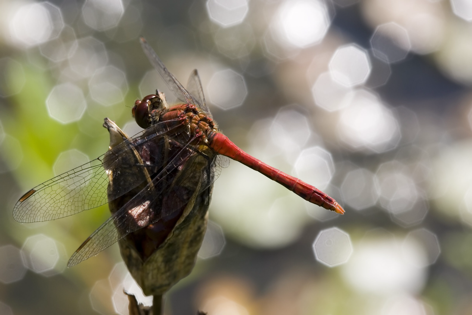 Announcing the _Moving from Scala 2 to Scala 3_ course